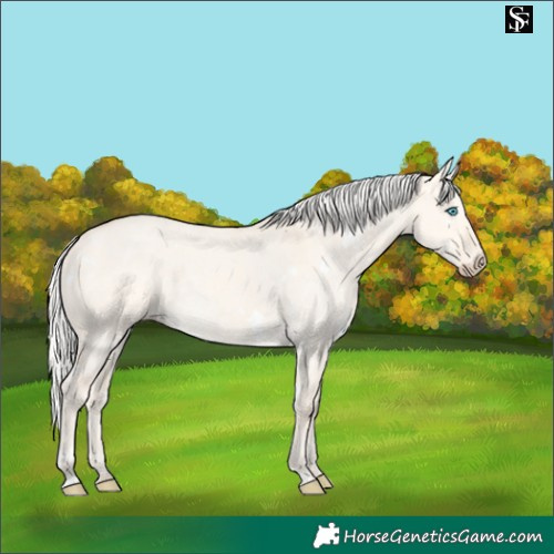 Horse Color:White Spotted Silver Perlino Dun Rabicano