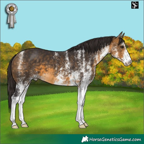 Horse Color:White Spotted Buckskin 