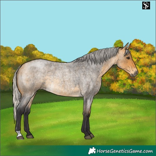 Horse Color:Silver Buckskin Roan Rabicano 