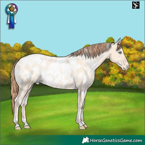 Horse Color:White Spotted Classic Cream Champagne Pearl Appaloosa 