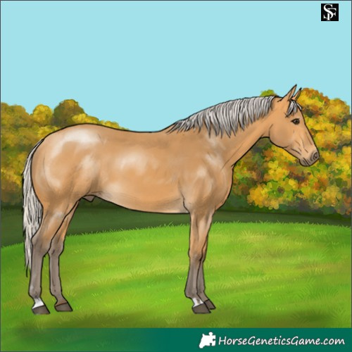 Horse Color:Silver Buckskin