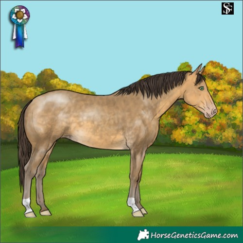 Horse Color:Sable Cream Champagne