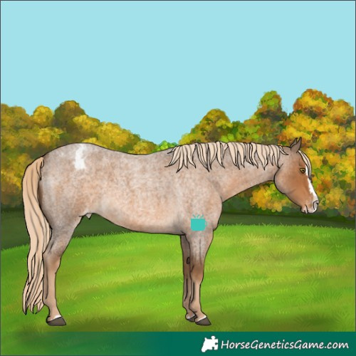 Horse Color:Chocolate Palomino Roan Splash Varnish 