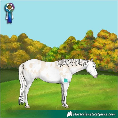Horse Color:Silver Buckskin Pearl Dun Sabino Splash Tobiano Near Leopard