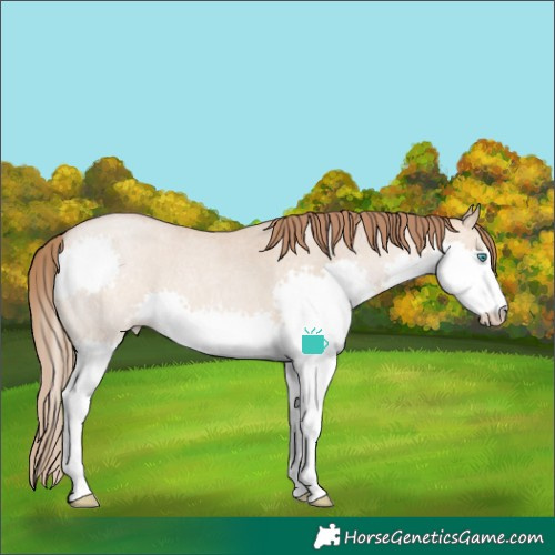 Horse Color:Brown Roan Pearl Dun Splash 
