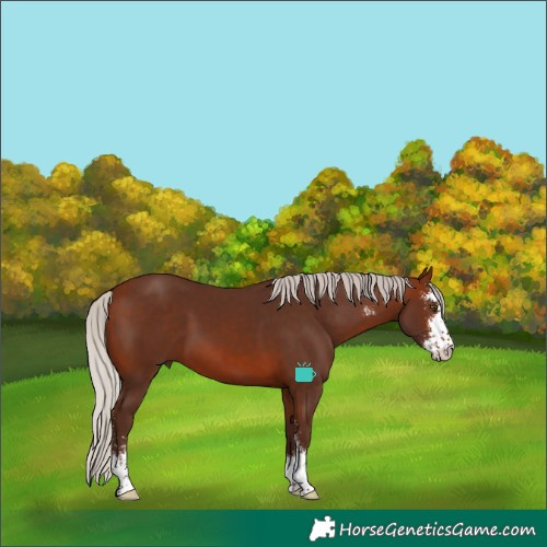 Horse Color:Silver Brown Sabino
