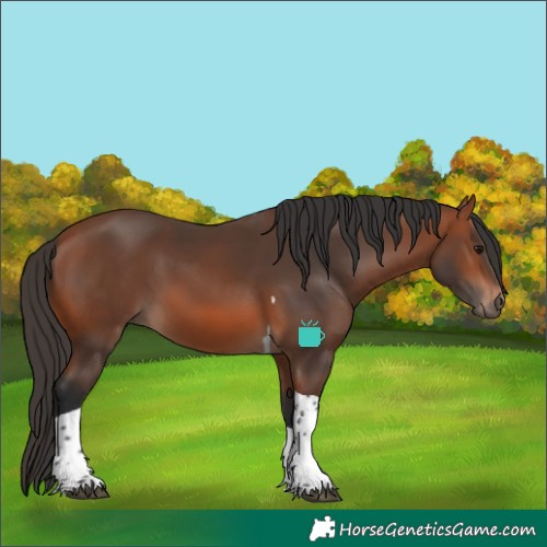 Horse Color:Bay Tobiano 