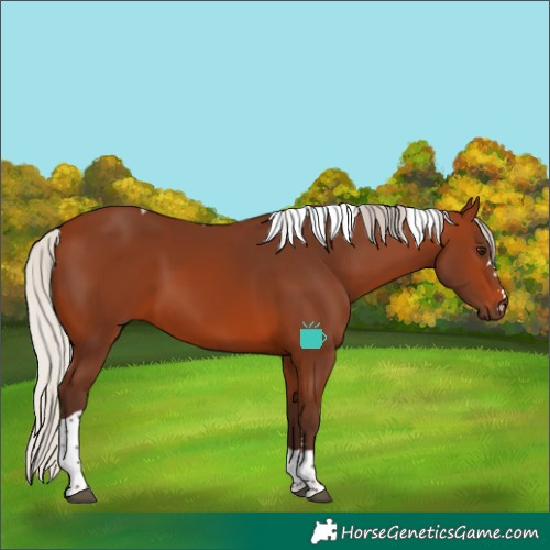 Horse Color:Silver Brown Tobiano