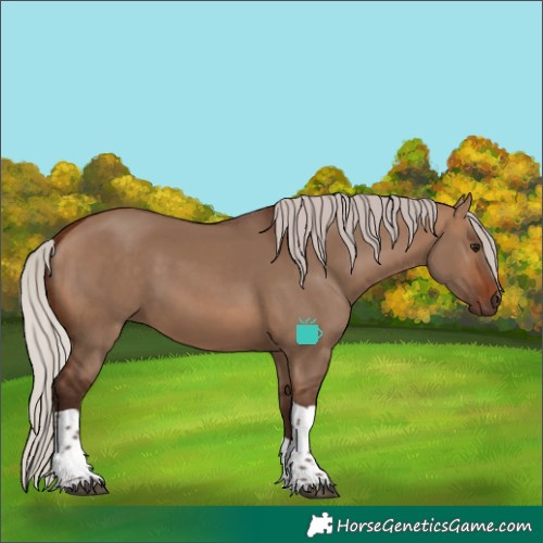 Horse Color:Silver Bay Dun Tobiano 