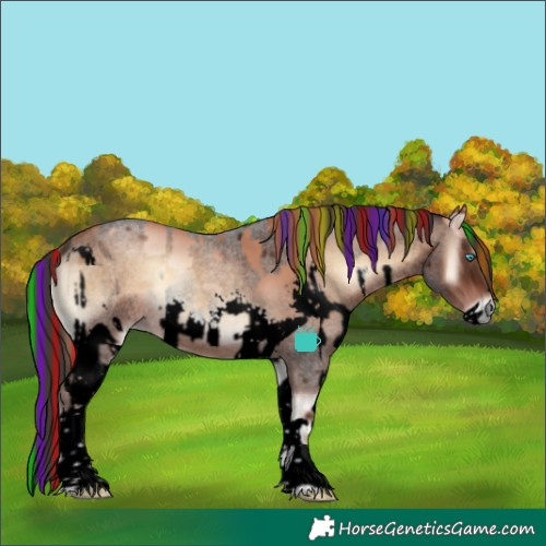 Horse Color:Void Painted Gold Champagne Onyx Splash and Painted Liver Red Onyx Roan