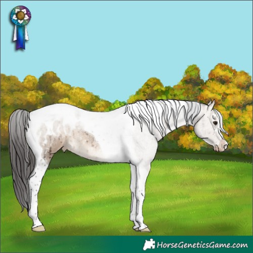 Horse Color:Brown Dun Tobiano Appaloosa Rabicano Brindle 