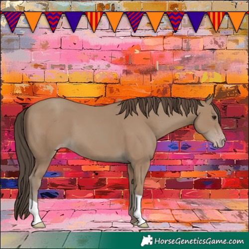 Horse Color:Classic Champagne