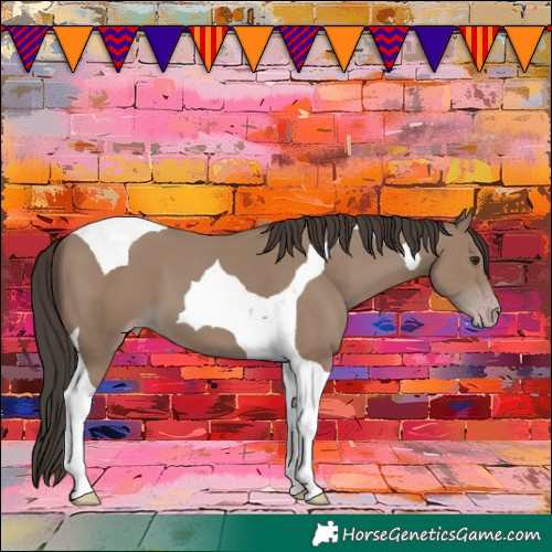 Horse Color:Classic Champagne Tobiano
