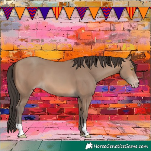 Horse Color:Sable Champagne