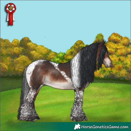 Horse Color:Bay Mushroom Tobiano