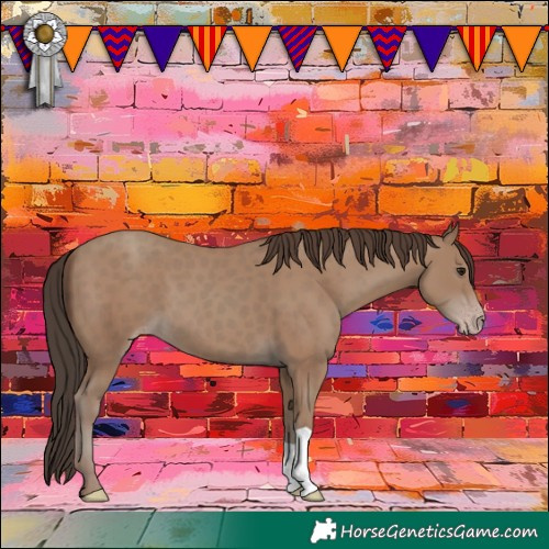 Horse Color:Classic Champagne 