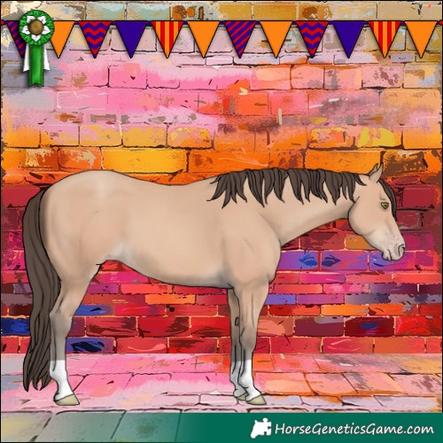 Horse Color:Amber Champagne