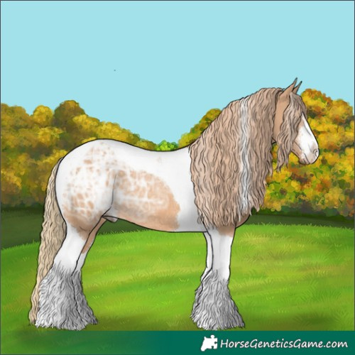 Horse Color:White Spotted Red Dun Ice Tobiano Rabicano