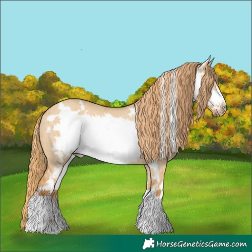 Horse Color:White Spotted Red Dun Frame Rabicano Brindle