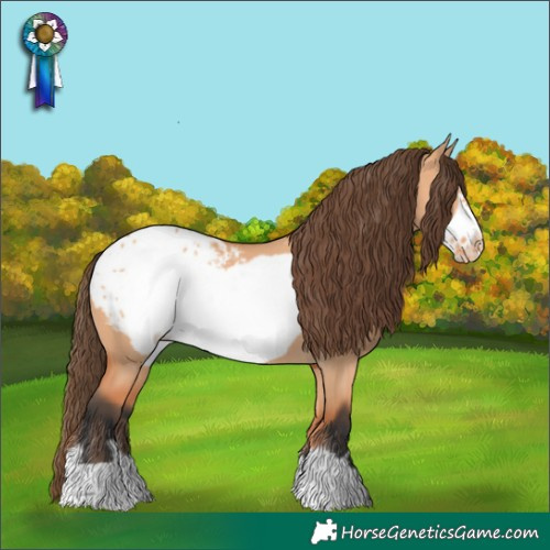 Horse Color:Bay Dun Frame Blanket Rabicano
