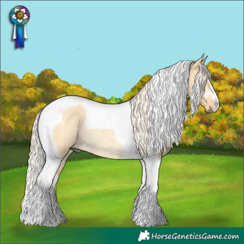 Horse Color:Palomino Dun Tobiano Rabicano