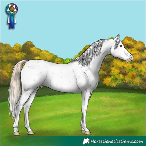 Horse Color:Chocolate Palomino Sabino Varnish 