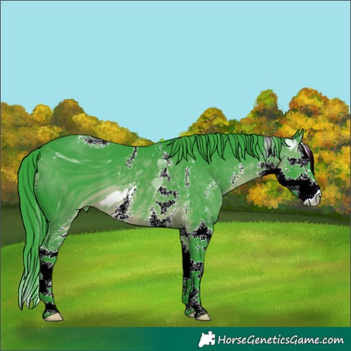 Horse Color:ERROR: UNKNOWN ANOMALY