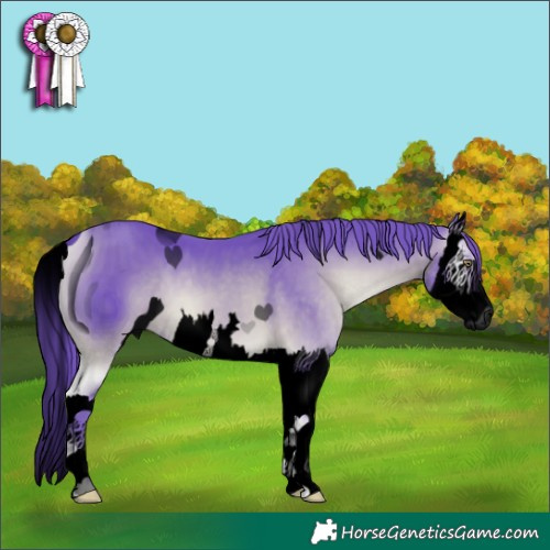 Horse Color:ERROR: UNKNOWN ANOMALY