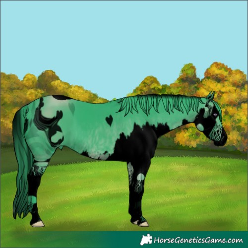 Horse Color:ERROR: UNKNOWN ANOMALY