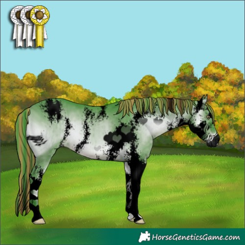 Horse Color:ERROR: UNKNOWN ANOMALY