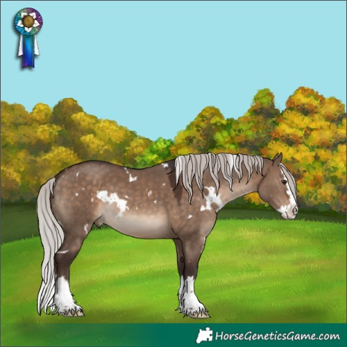 Horse Color:White Spotted Silver Brown Dun Splash Rabicano