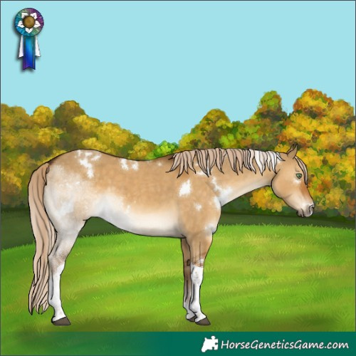 Horse Color:White Spotted Chocolate Palomino Dun Tobiano 