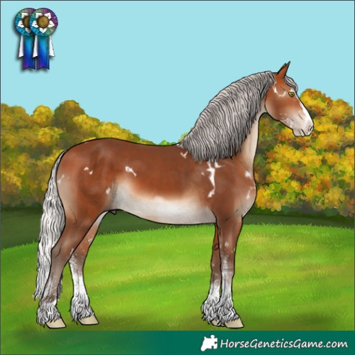 Horse Color:White Spotted Silver Bay Splash Rabicano