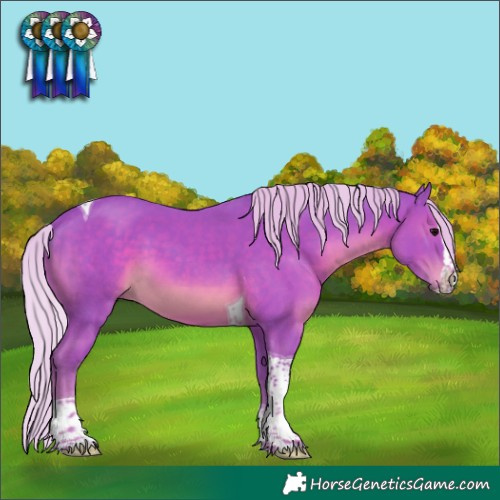 Horse Color:Watercolor Silver Black Splash Tobiano Rabicano