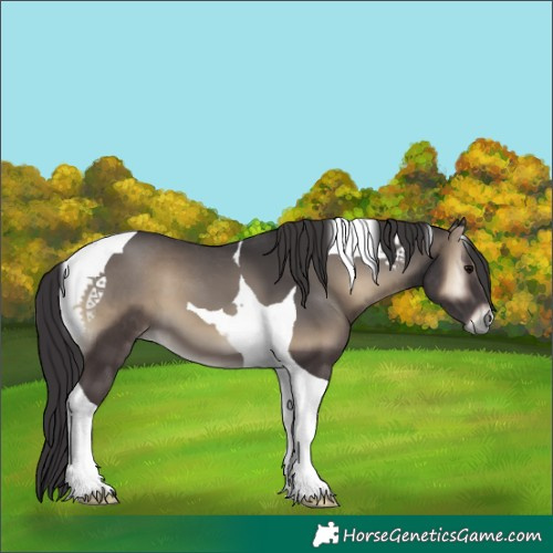 Horse Color:Smoky Blue Onyx Tobiano 