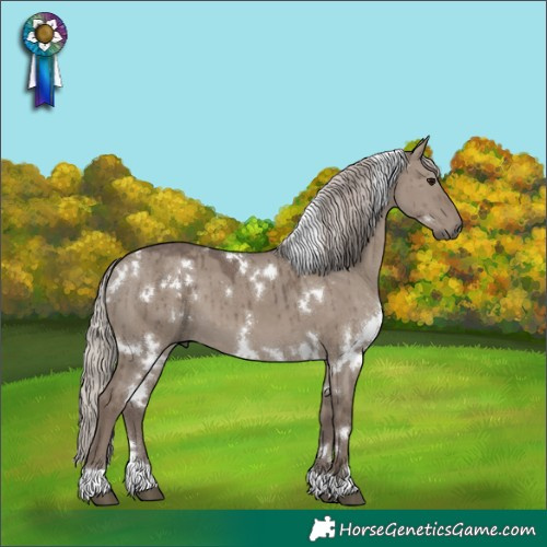 Horse Color:White Spotted Silver Grullo Brindle 