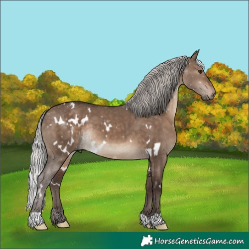 Horse Color:White Spotted Silver Brown Dun 