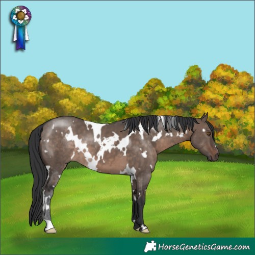 Horse Color:White Spotted Brown Dun Mushroom