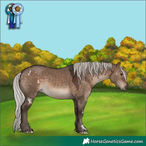 Horse Color:White Spotted Silver Brown Dun
