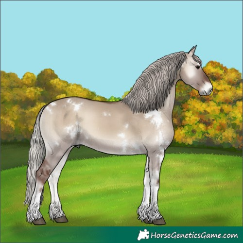 Horse Color:White Spotted Silver Grullo Onyx Tobiano 
