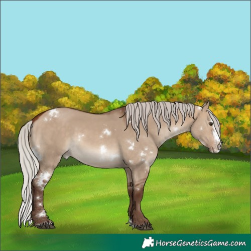 Horse Color:White Spotted Silver Brown Dun Splash 