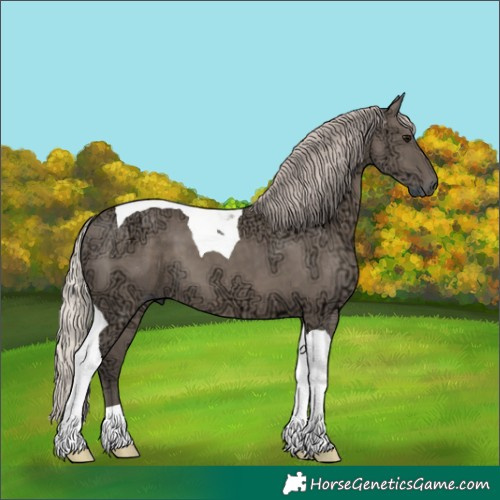 Horse Color:Silver Grullo Ice Tobiano