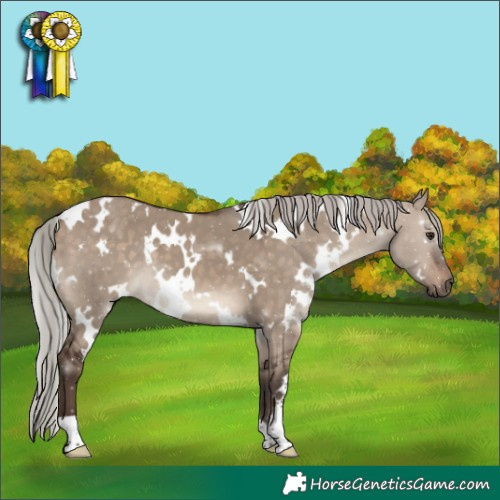 Horse Color:White Spotted Silver Brown Dun