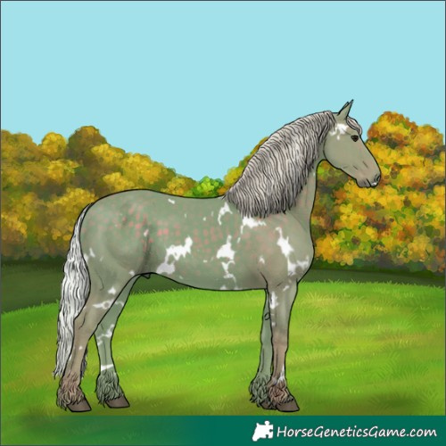 Horse Color:Watercolor White Spotted Silver Black
