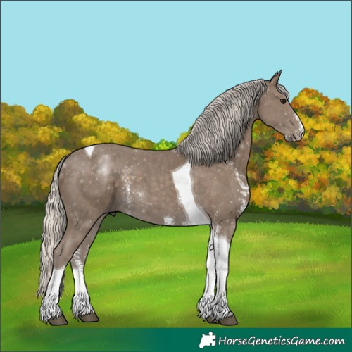 Horse Color:Silver Smoky Black Sabino Tobiano 