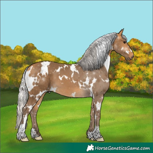 Horse Color:White Spotted Silver Buckskin