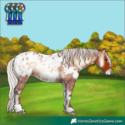 Horse Color:White Spotted Silver Bay Roan Onyx Appaloosa Rabicano 