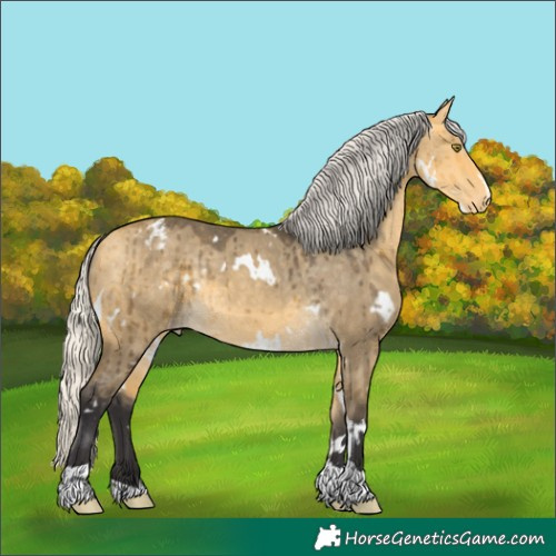 Horse Color:White Spotted Silver Buckskin Dun Tobiano Varnish Rabicano Brindle