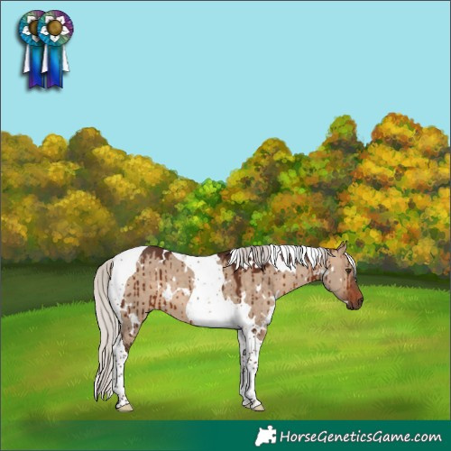 Horse Color:White Spotted Silver Brown Dun Tobiano Brindle