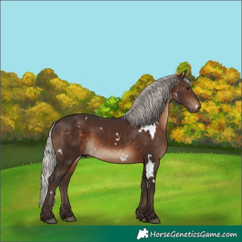 Horse Color:White Spotted Silver Brown
